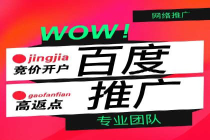 竞价推广技巧分享：成功案例剖析