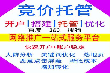 搜索引擎营销（SEM）广告投放的五大成功案例
